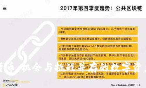 新疆加密货币：机会与挑战并存的数字资产投资领域