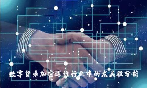 数字货币加密运维行业中的龙头股分析