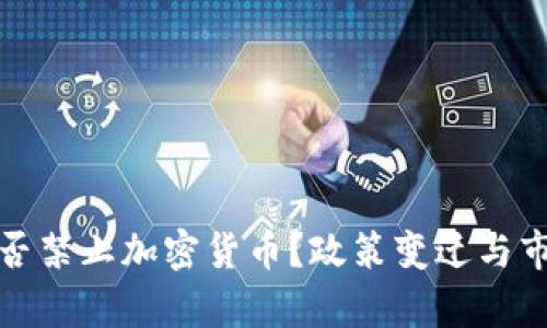 : 乌克兰是否禁止加密货币？政策变迁与市场影响分析