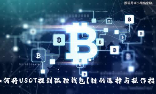 如何将USDT提到狐狸钱包？链的选择与操作指南