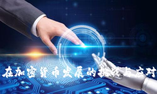 中国在加密货币发展的挑战与应对策略